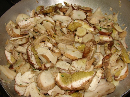 porcini piatto