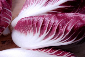 radicchio